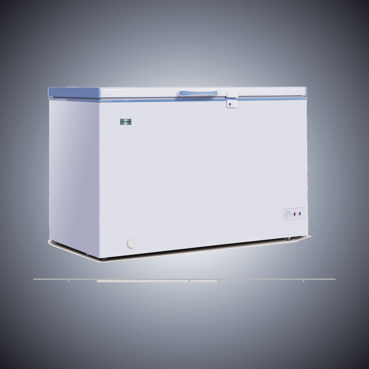 Chest Freezer 300 L